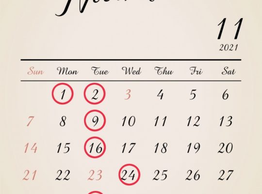 １１月定休日のお知らせ